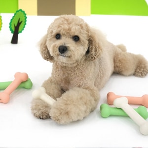 【ParisDog】經典款骨頭乳膠發聲玩具 (寵物玩具)