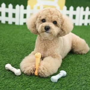 【ParisDog】骨頭咀嚼棒乳膠發聲玩具 (寵物玩具)