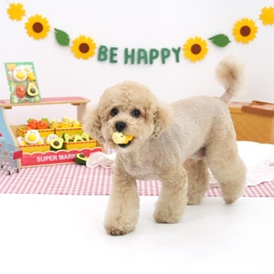 【ParisDog】營養早餐乳膠發聲玩具 (寵物玩具)