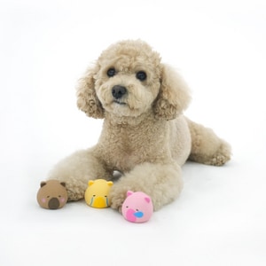 【ParisDog】卡皮巴拉小水豚乳膠發聲玩具 (寵物玩具)