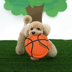 【ParisDog】球類輕薄軟式飛盤 (寵物玩具)