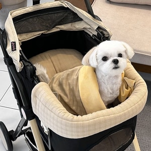 【ParisDog】簡約格紋推車/睡墊 (寵物推車座墊)