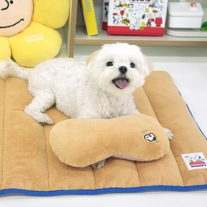 【PEANUTS】史努比輕薄寵物睡墊枕頭組 (寵物床 寵物睡墊)