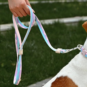 【VitalWave 元氣光波】漸變山海系列 牽引繩  (寵物牽繩 牽引繩)