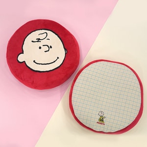 【PEANUTS】查理布朗造型寵物睡墊 (寵物床 寵物睡墊)
