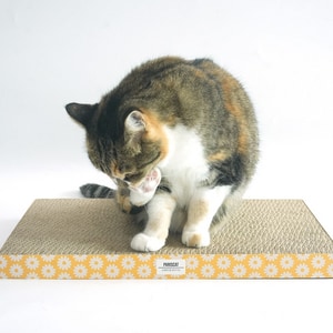 【ParisCat】寬敞貓抓板