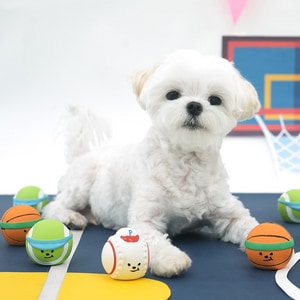 【ParisDog】迷你酷萌乳膠小球 (寵物玩具)