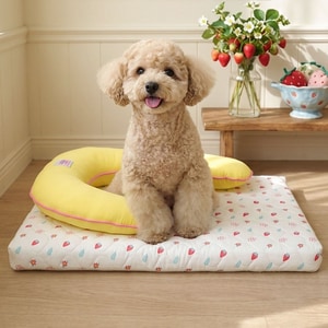 【ParisDog】甜美草莓涼感床墊枕頭組 (寵物睡墊 寵物床)