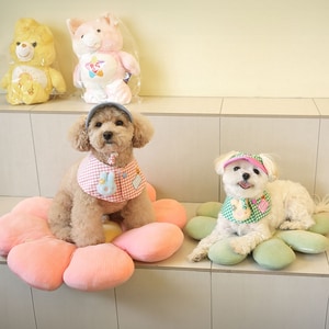 【ParisDog】可愛兔兔格紋狗狗領巾套裝 (寵物服飾 寵物衣服)