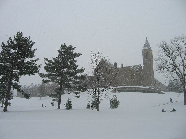 MPA、MPP、IMC-Yu, MC