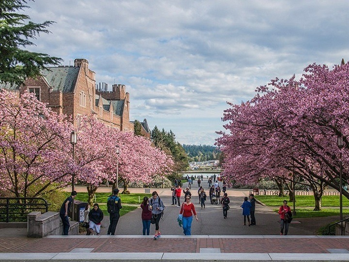 Construction Management-Lin, YL