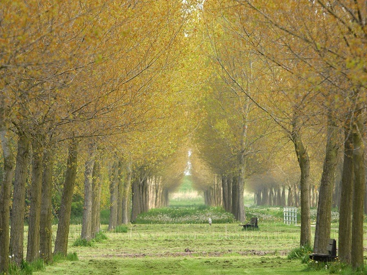 Management Information System-Tang, Kuo-Lun