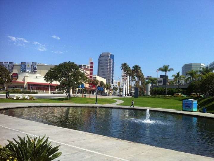 SUNY-Stony Brook-MS. Lee