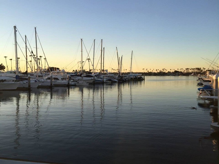 PhD in MIS-Justin Ku