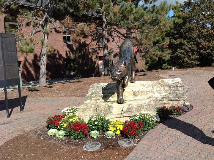 Biomedical Engineering-Chang, CY