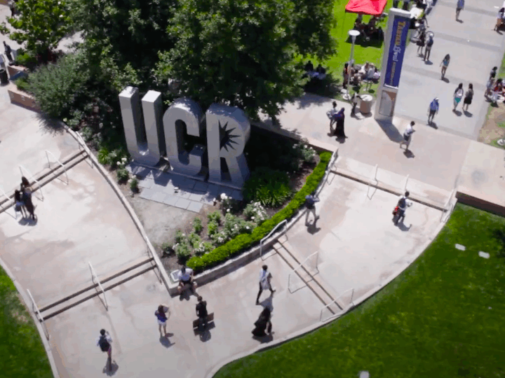 Master of Professional Accountancy-Ko, WH