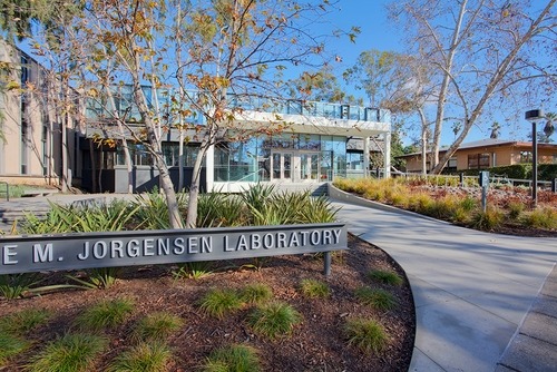 college-photo_34897