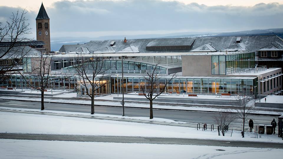 cornell university 2