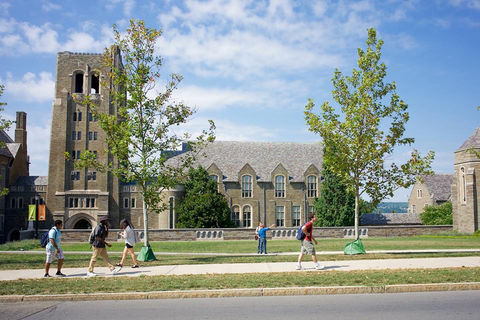 cornell university 3