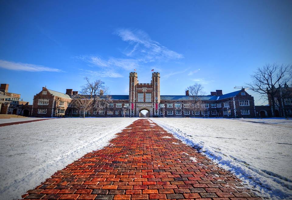 washington university in st. louis 2