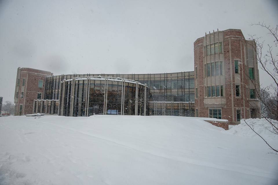 washington university in st. louis 3