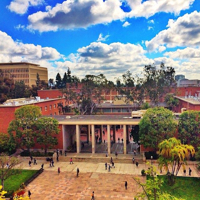 university of california- los angeles 3