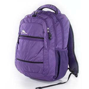 HIGH SIERRA美國戶外運動用品Glitch Backpack 可收納17吋筆電後背包新秀麗Samsonite副牌【H04-KH045】紫【禾雅】