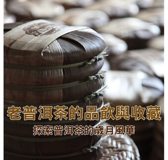 老普洱茶的品飲與收藏 | 探索普洱茶的歲月風華