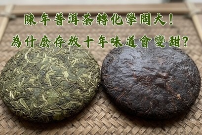 陳年普洱茶轉化學問大！為什麼存放十年味道會變甜？