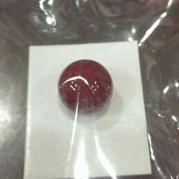 珊瑚 收購 價格