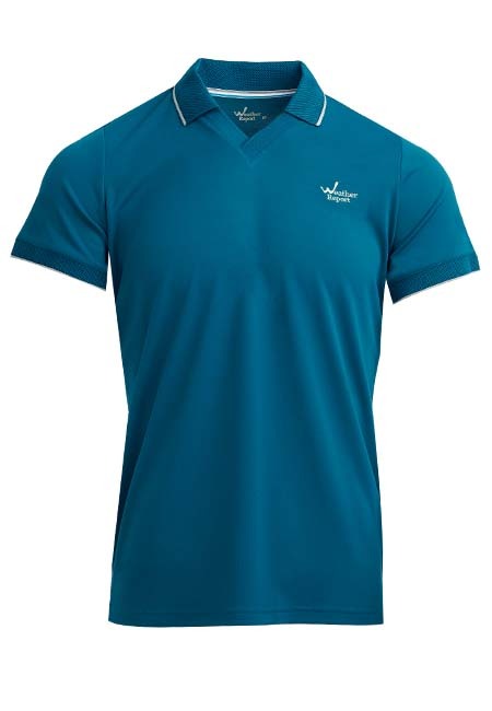 吸濕抗菌V領休閒POLO衫-男