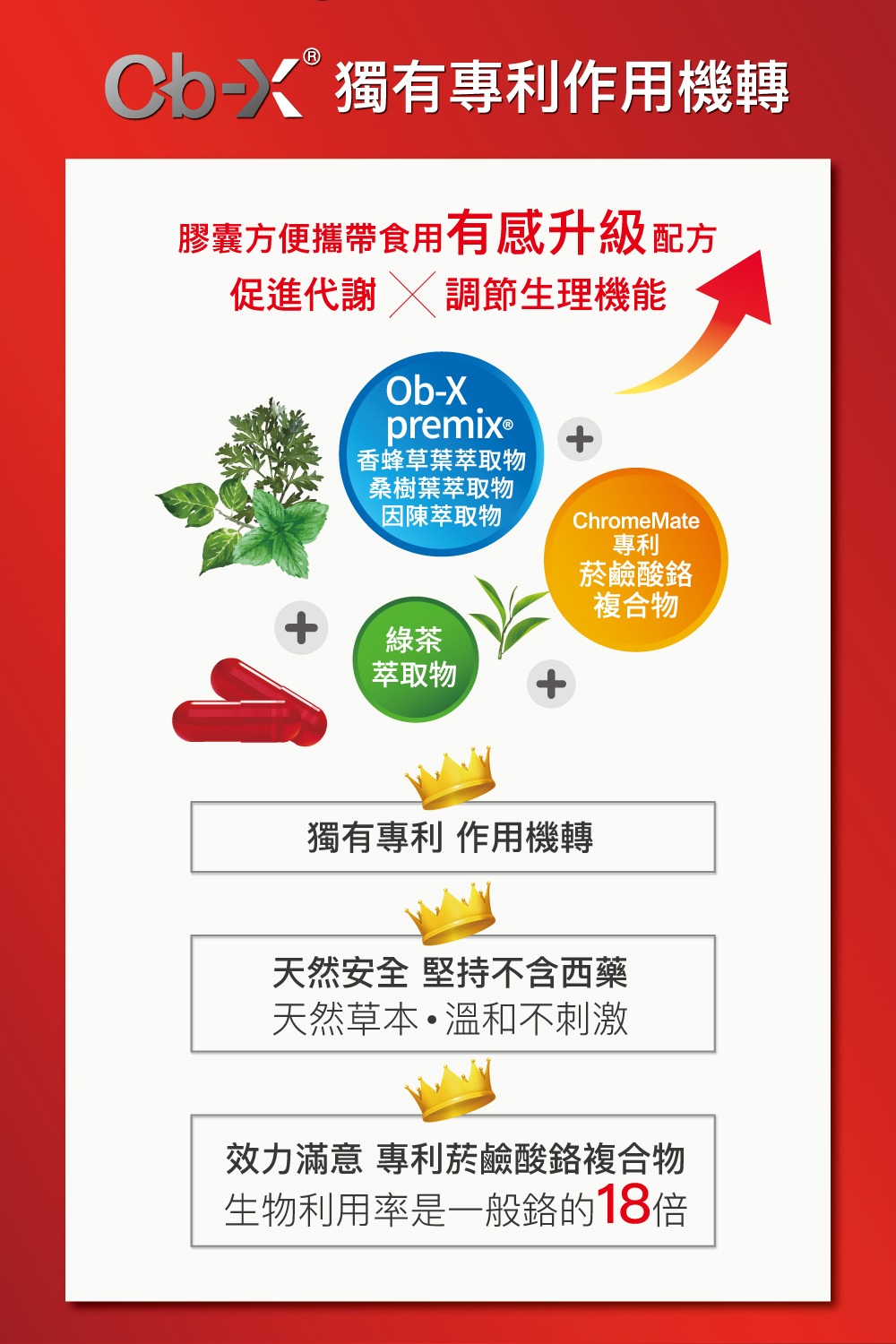 天之驕女歐速纖膠囊 天之驕女歐速纖膠囊
