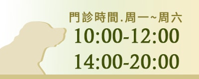 側邊2025