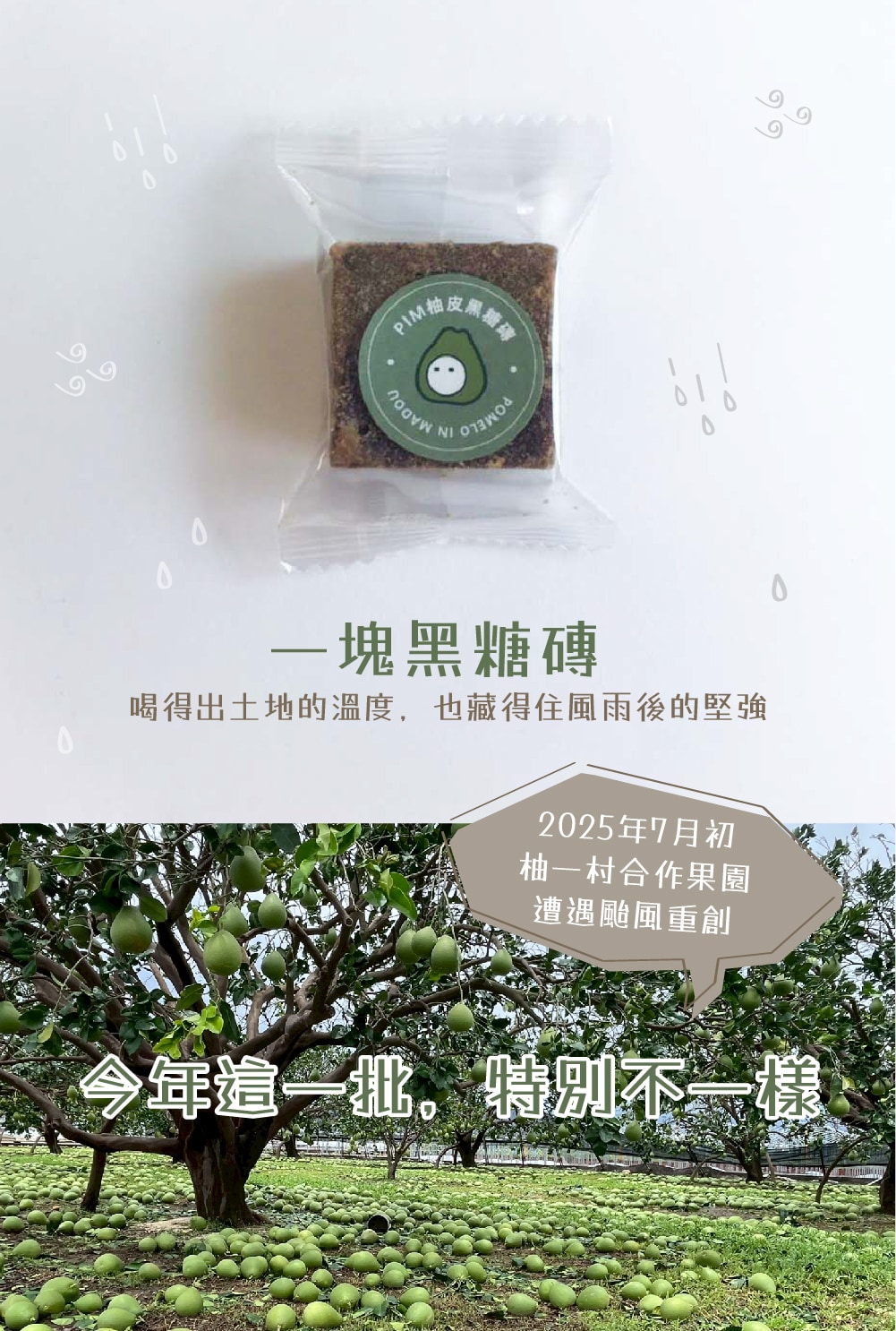 PIM_SUGAR_PAGE_202507-01 PIM_SUGAR_PAGE_202507-01