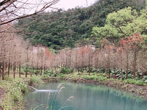 生態環境觀察