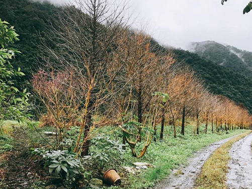 登山健行