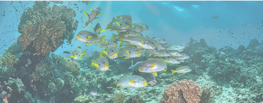 親親海洋隔離乳_07