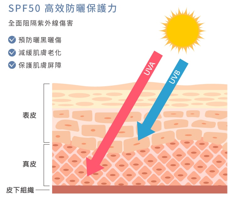 親親海洋隔離乳_19