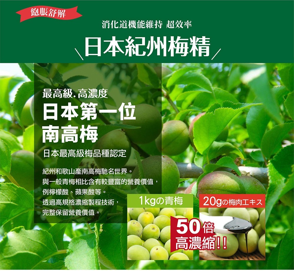 IKOR 和漢善美護衛 30包 日本梅精