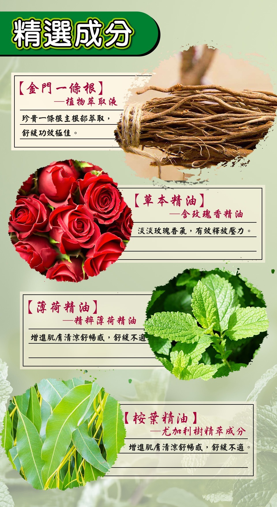 保濟堂一條根精油滾珠瓶 產品成分