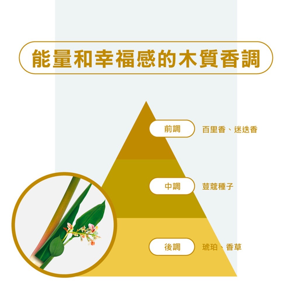 Klorane蔻蘿蘭 植萃強效抗屑粉3g*8入