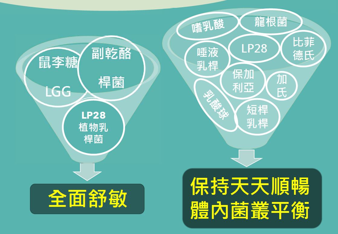 快樂益生菌 30包 LGG菌種