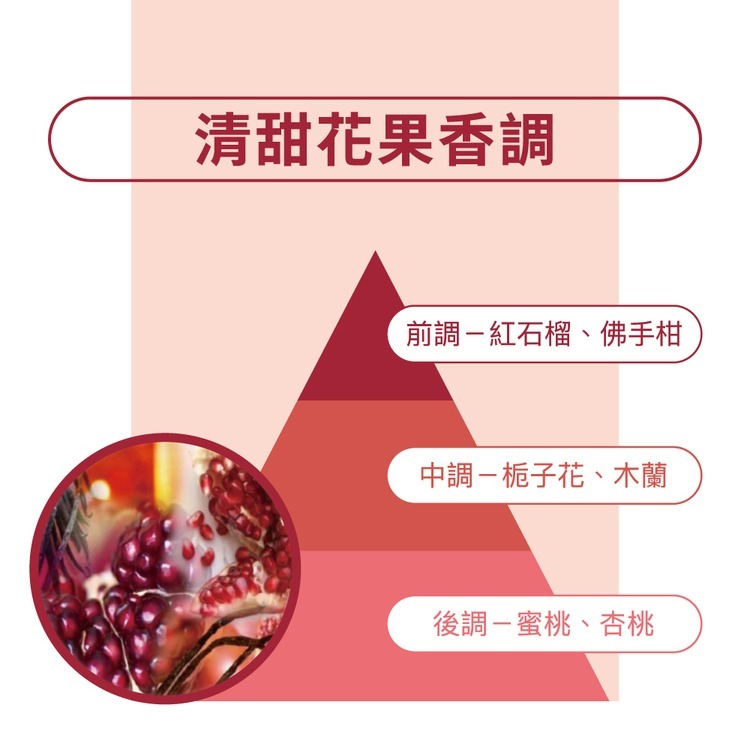 KLORANE 蔻蘿蘭護色亮澤洗髮精400ml