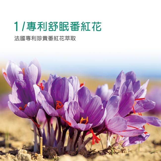 善存舒眠益生菌膠囊 30粒