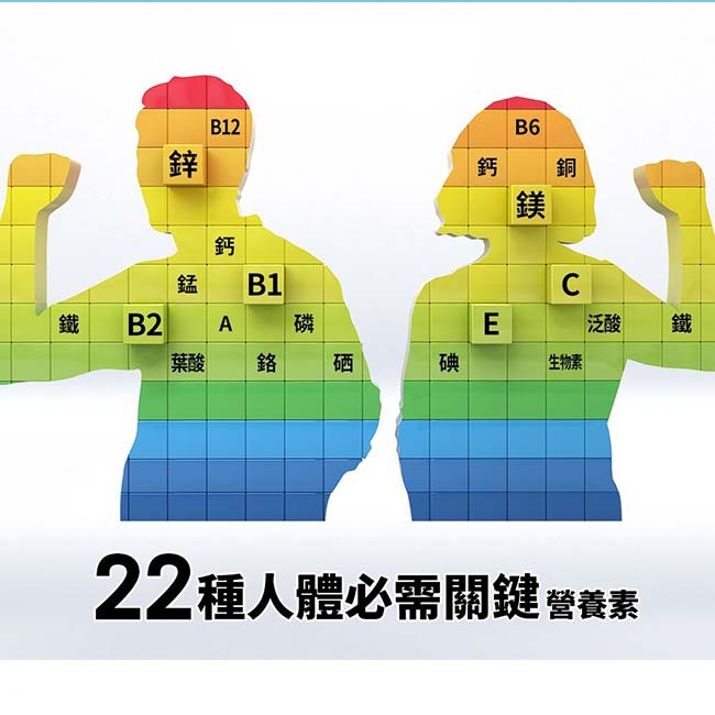 善存成人綜合維他命錠 100+30錠