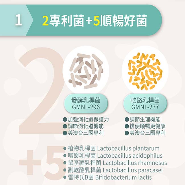 悠活原力300億純淨益生菌 2g*30包入