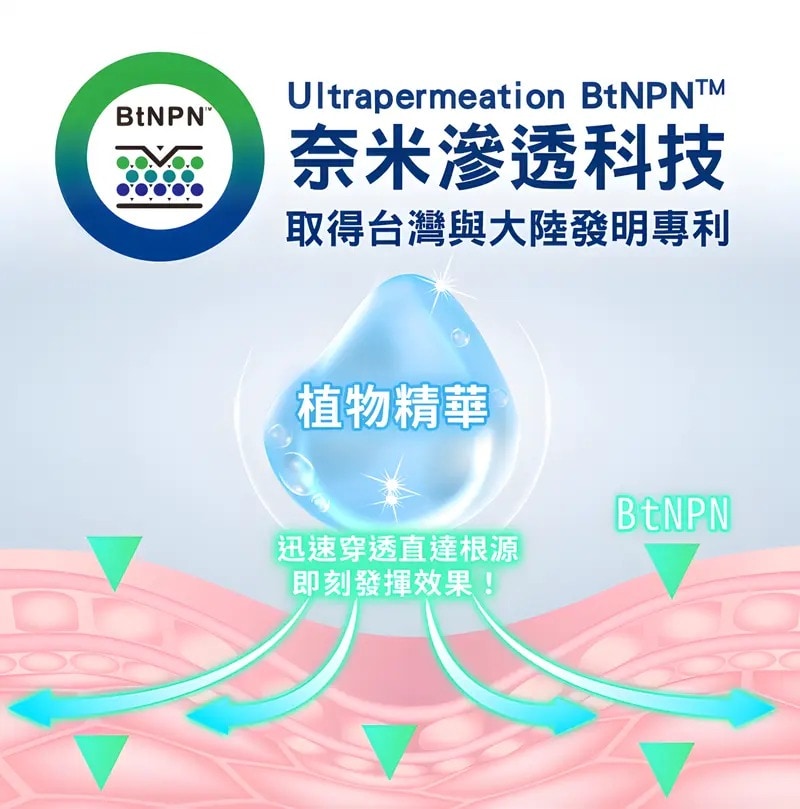 BtNPN涼感植物奈米貼片6片/包