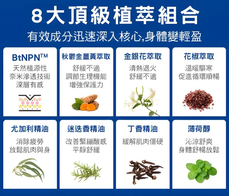 BtNPN涼感植物奈米貼片6片/包