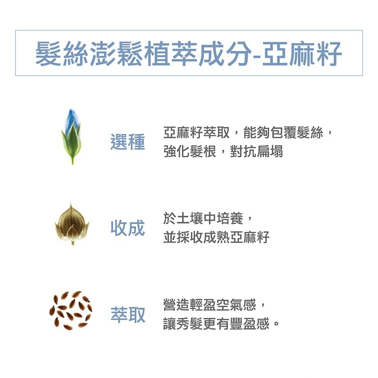 【2入組】KLORANE 蔻蘿蘭 澎鬆洗髮精 400ml 