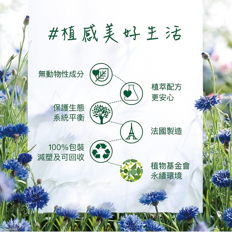 【2入組】KLORANE 蔻蘿蘭 澎鬆洗髮精 400ml 